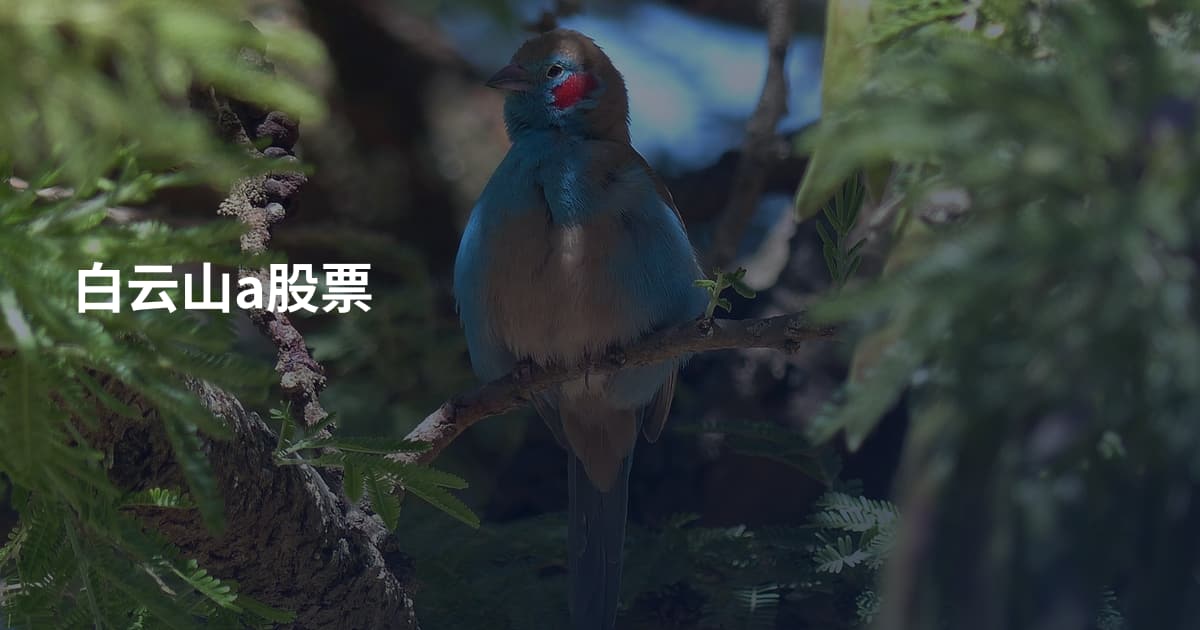 白云山a股票