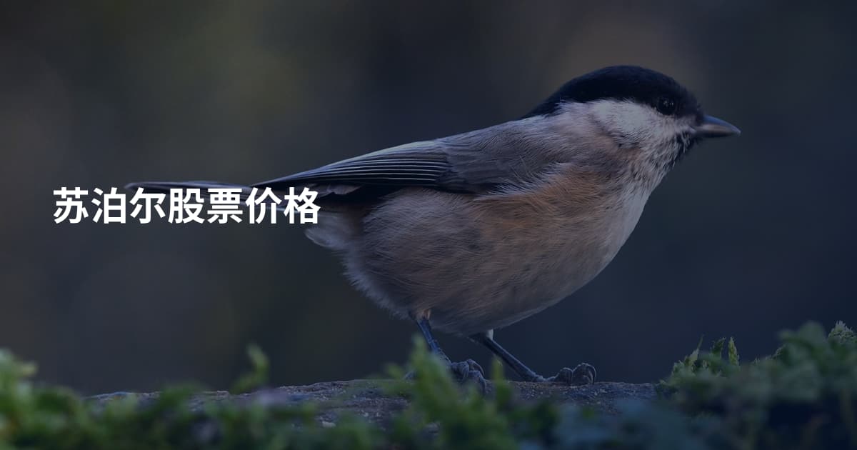 苏泊尔股票价格