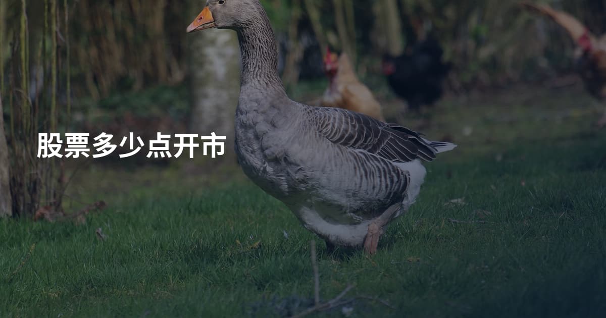 股票多少点开市