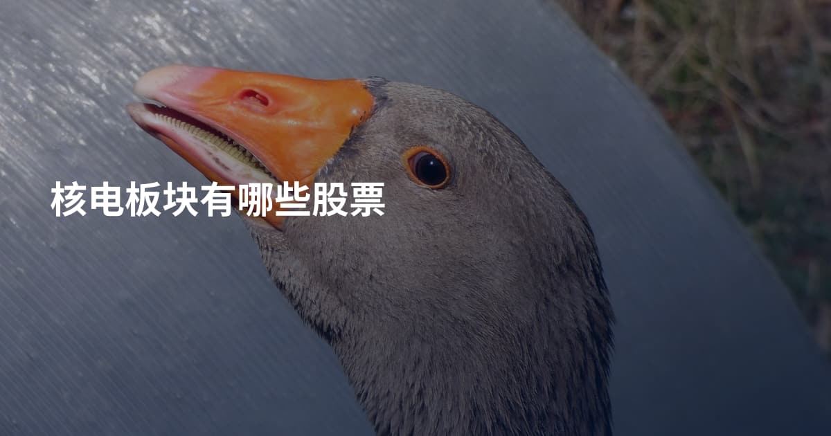 核电板块有哪些股票