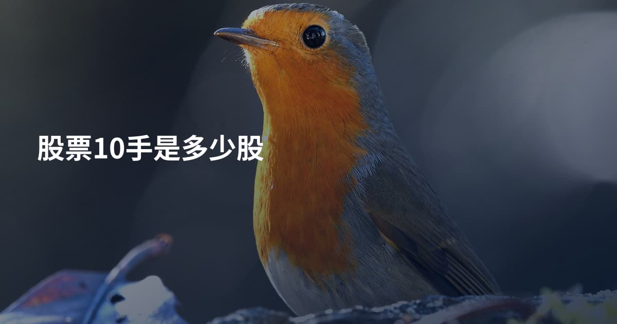 股票10手是多少股