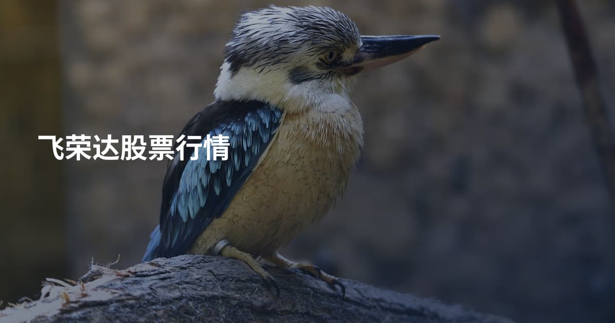 飞荣达股票行情