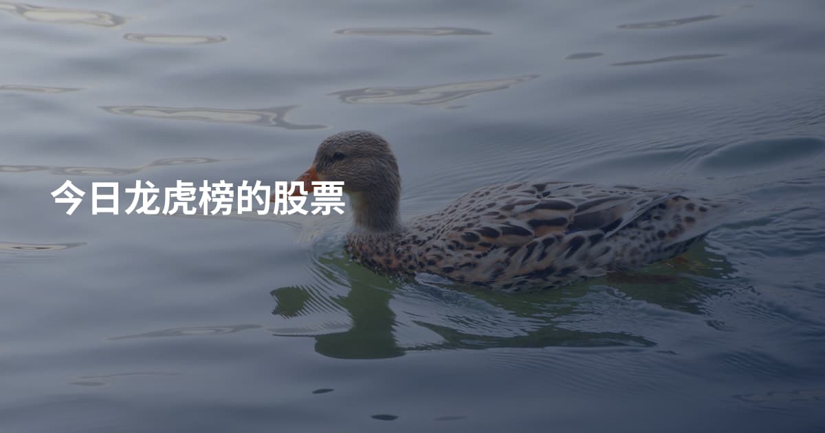今日龙虎榜的股票