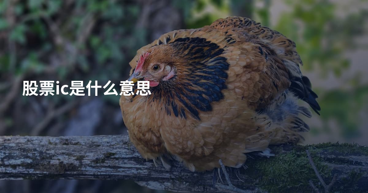 股票ic是什么意思