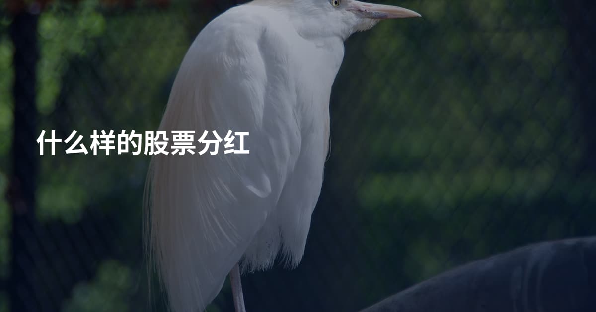 什么样的股票分红