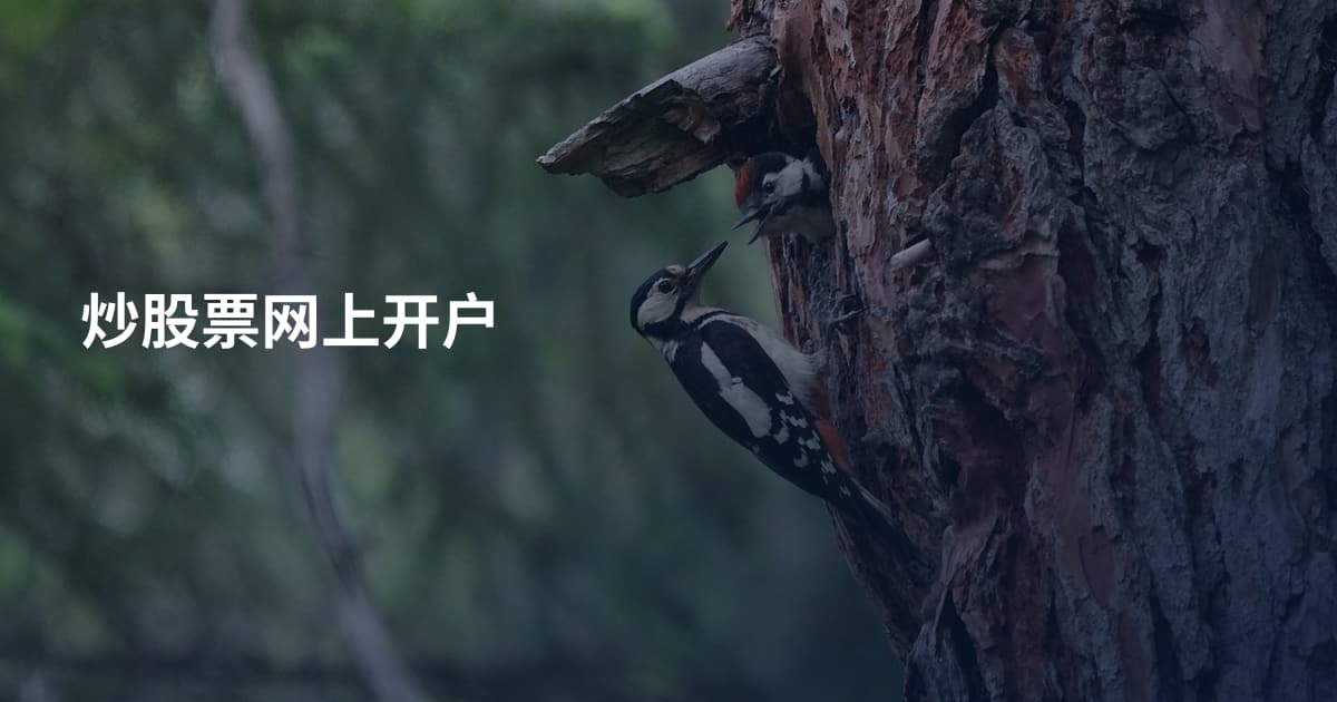 炒股票网上开户