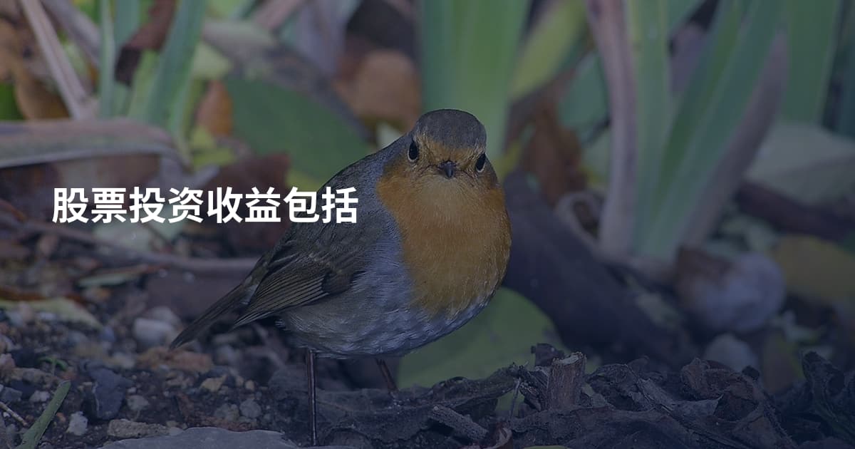 股票投资收益包括