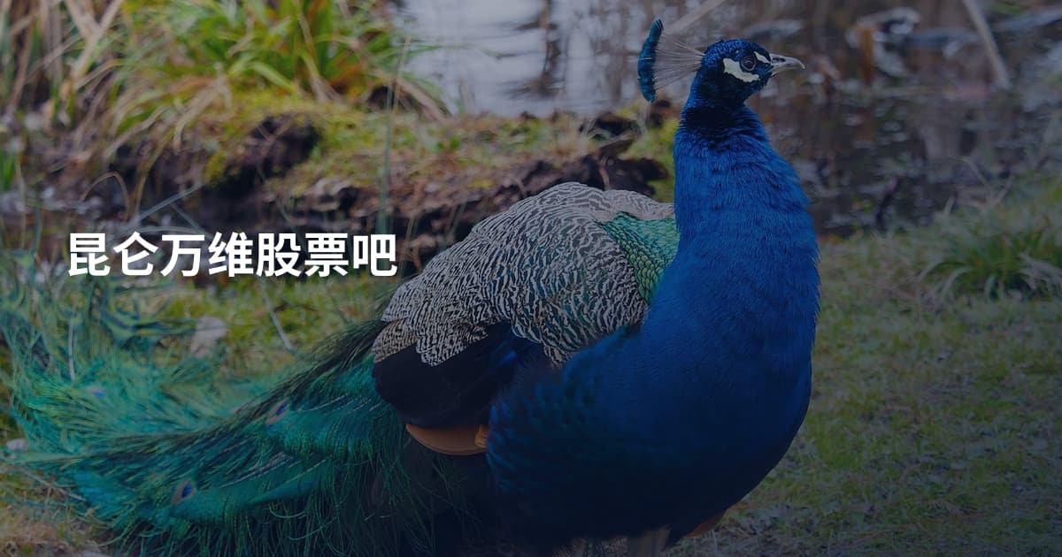 昆仑万维股票吧