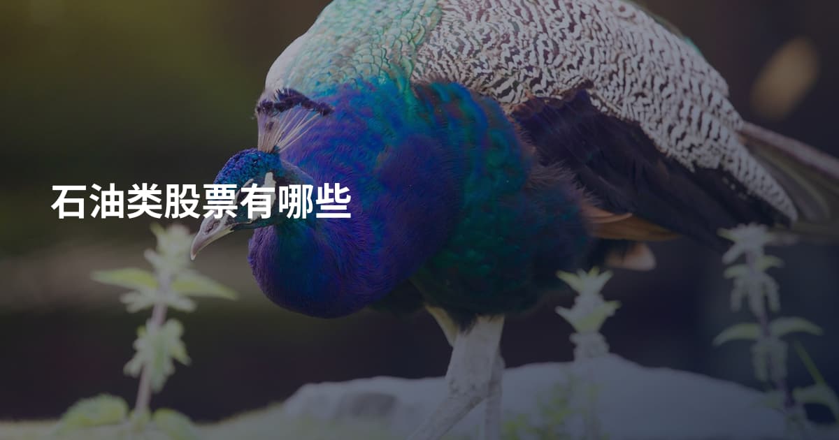 石油类股票有哪些
