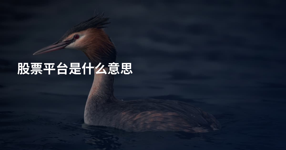 股票平台是什么意思