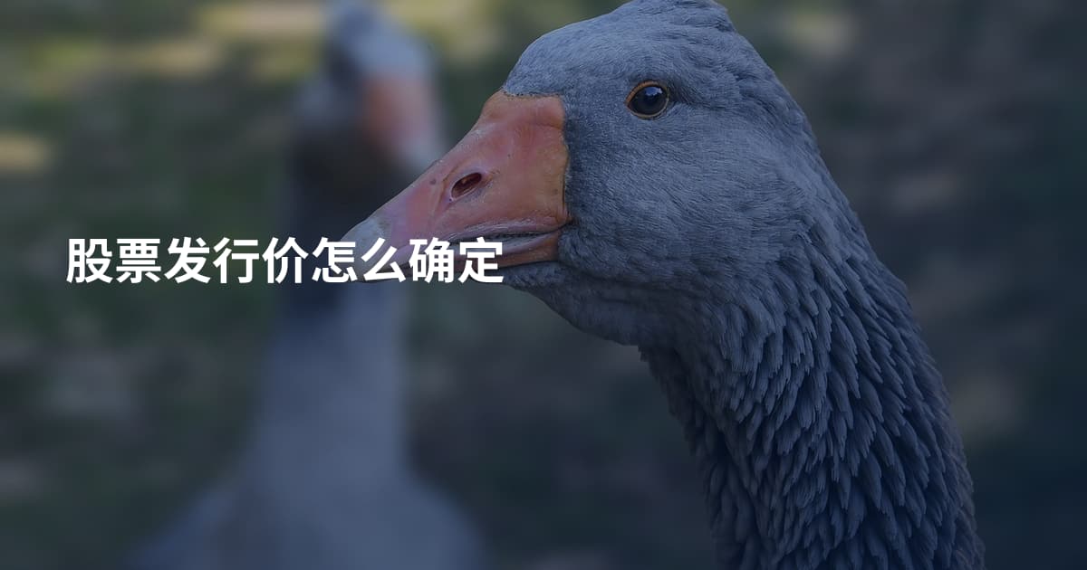 股票发行价怎么确定