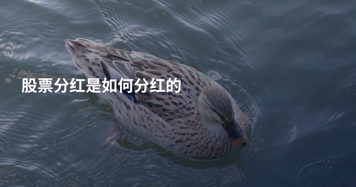 股票分红是如何分红的
