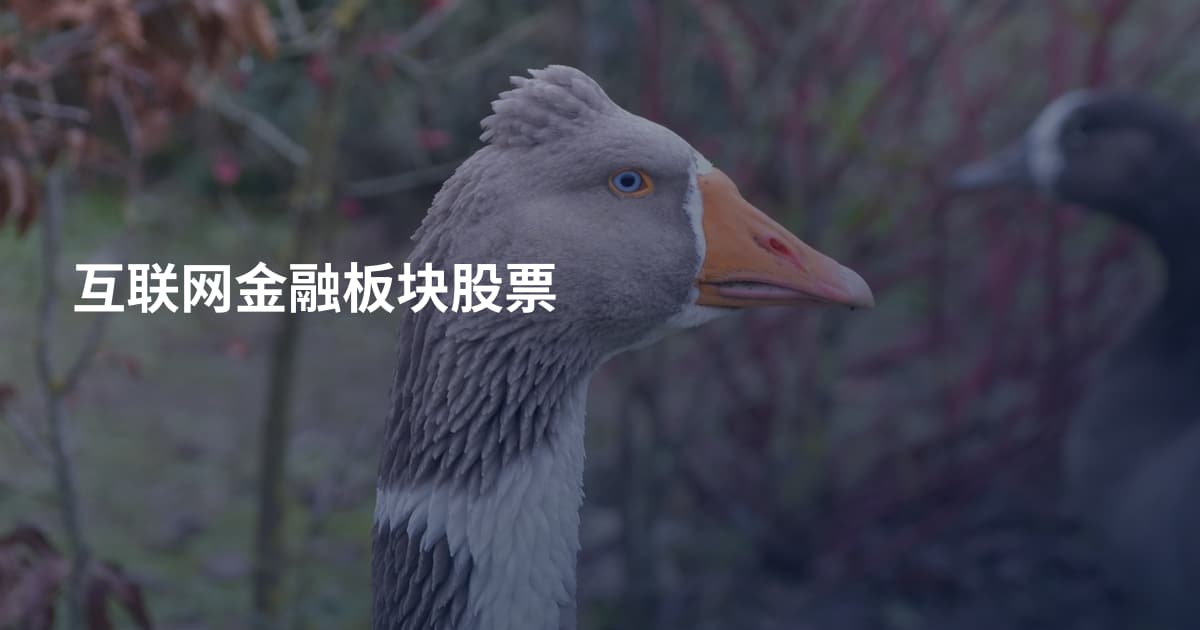 互联网金融板块股票