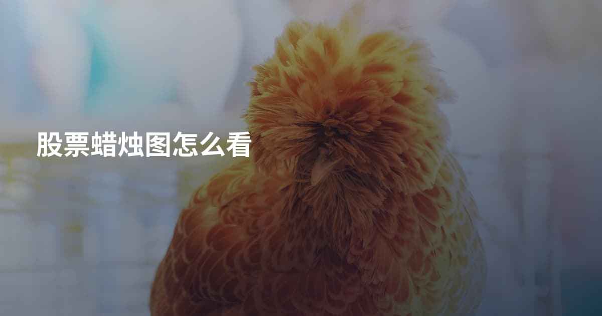 股票蜡烛图怎么看
