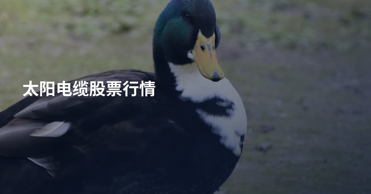 太阳电缆股票行情