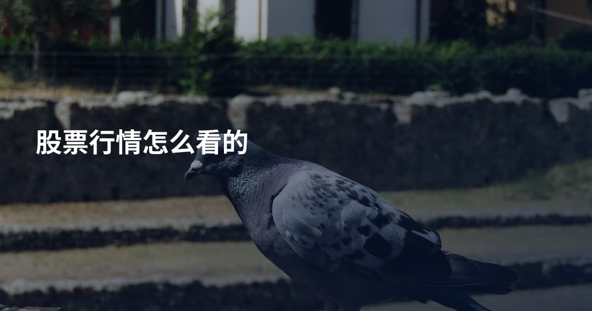 股票行情怎么看的