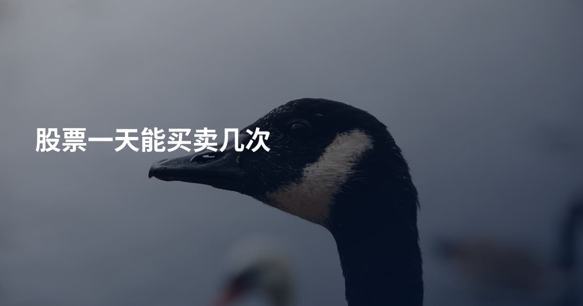 股票一天能买卖几次