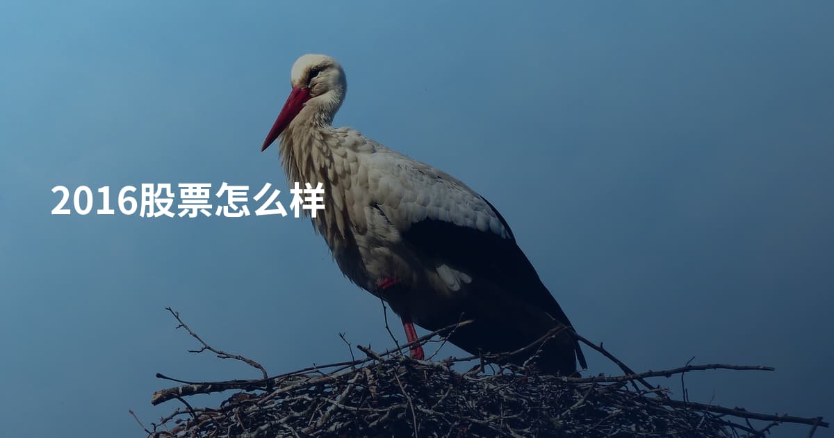2016股票怎么样