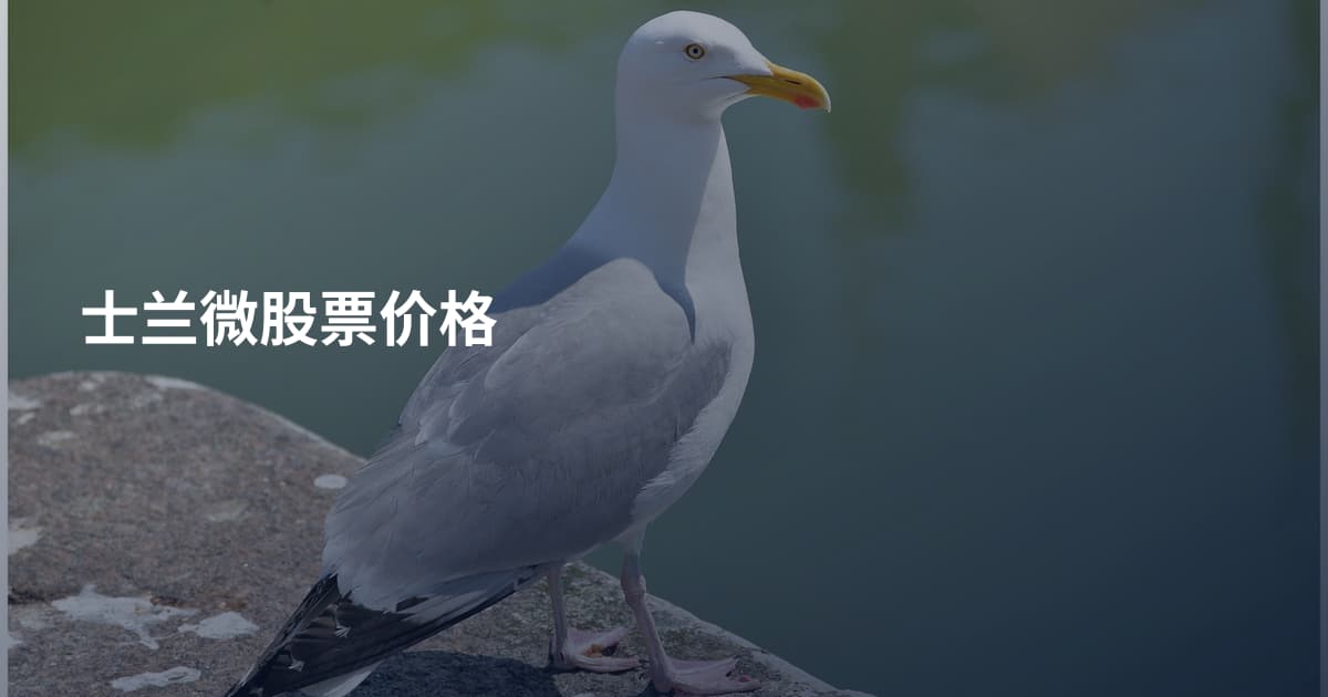 士兰微股票价格