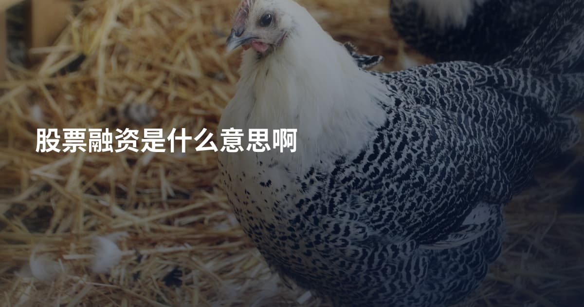 股票融资是什么意思啊