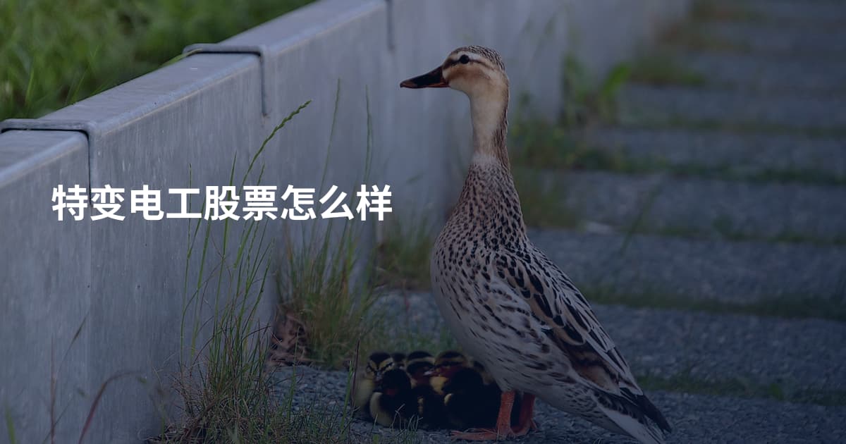 特变电工股票怎么样