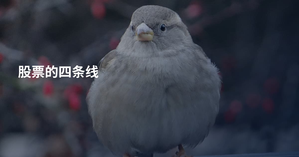 股票的四条线
