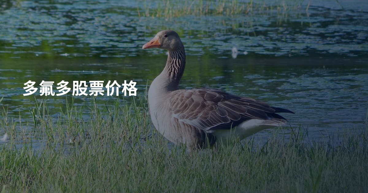 多氟多股票价格