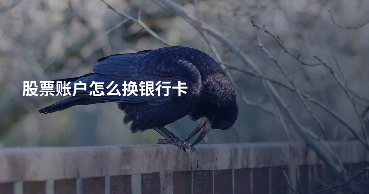 股票账户怎么换银行卡