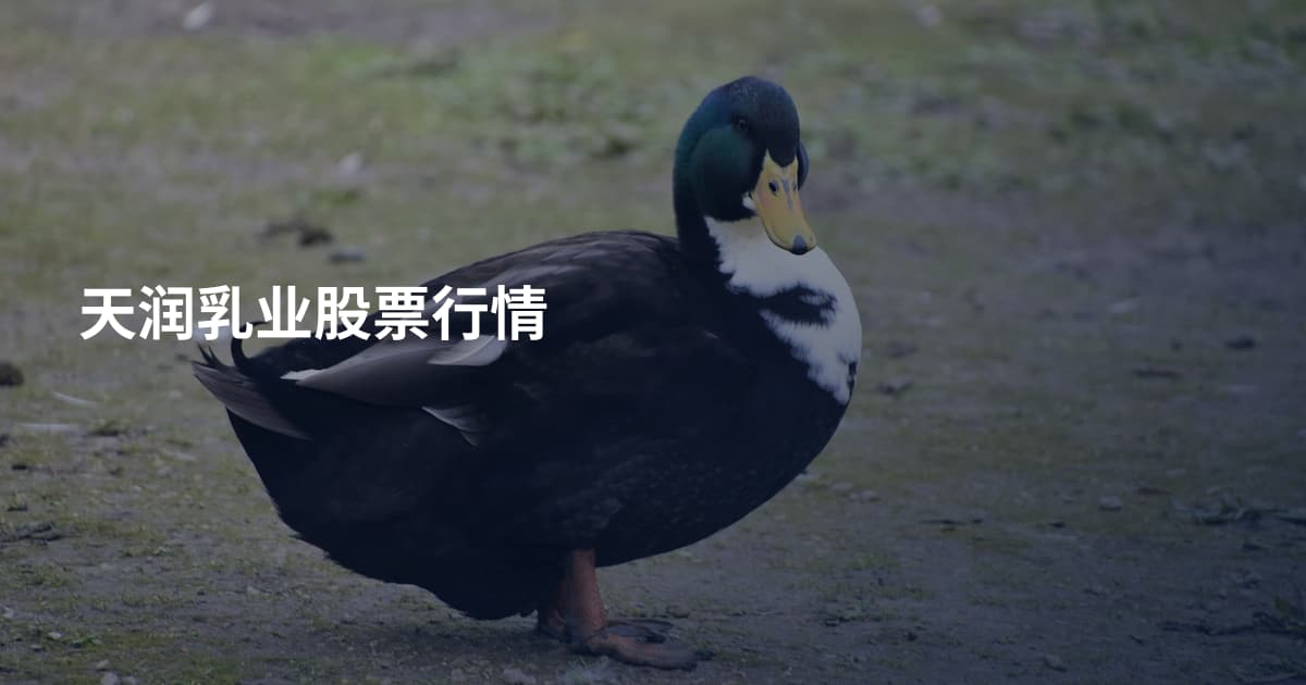 天润乳业股票行情