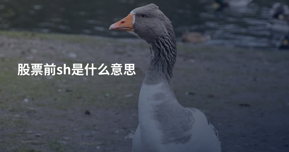 股票前sh是什么意思