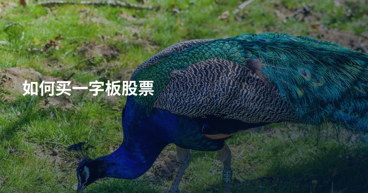 如何买一字板股票