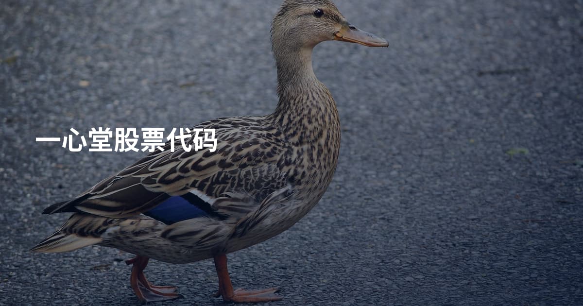 一心堂股票代码