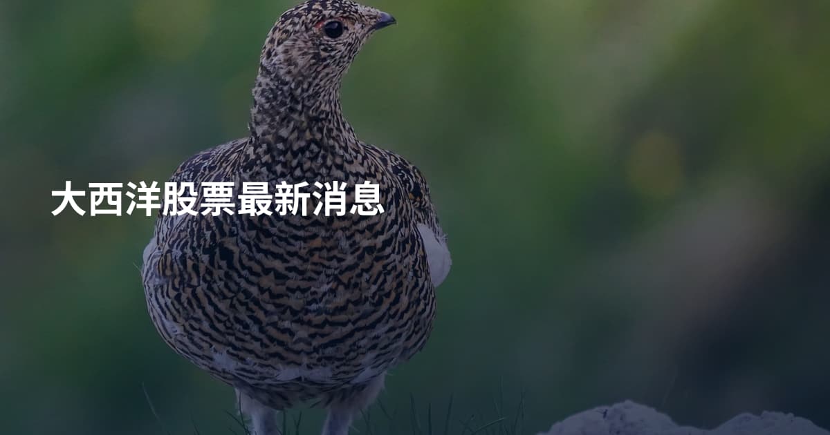 大西洋股票最新消息