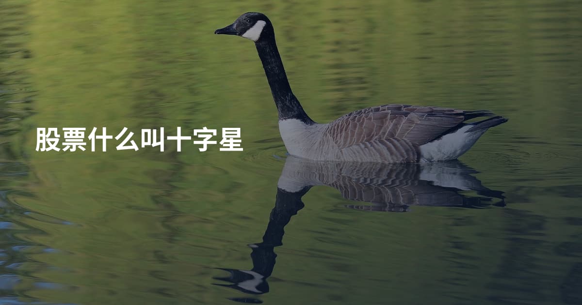 股票什么叫十字星