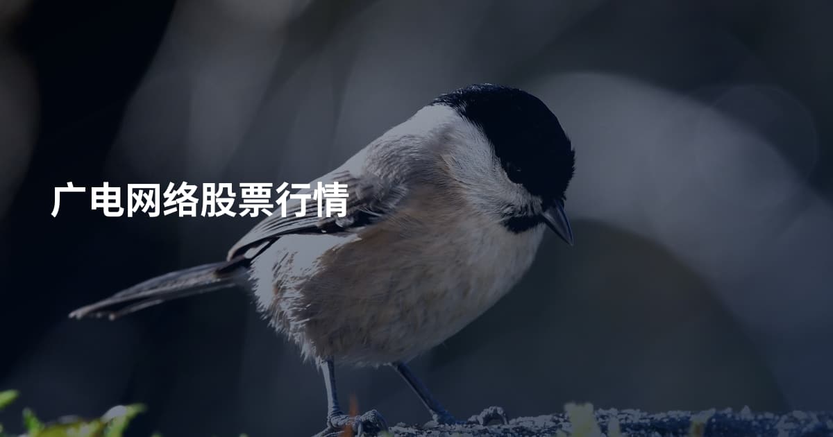 广电网络股票行情