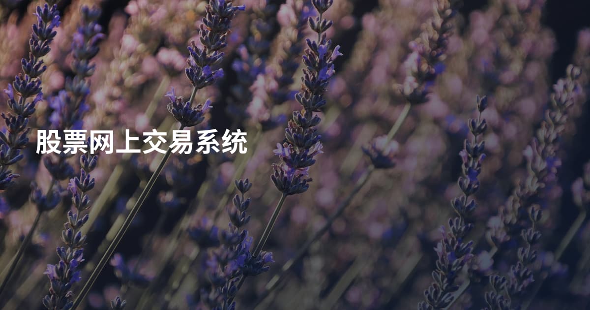 股票网上交易系统