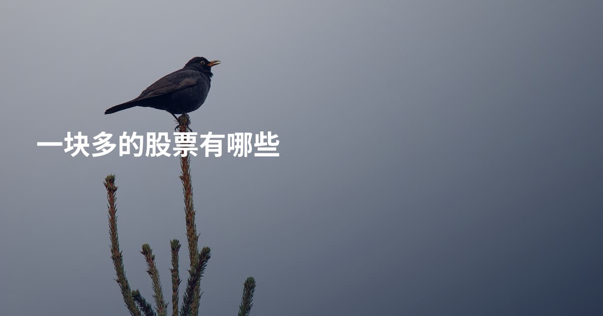 一块多的股票有哪些