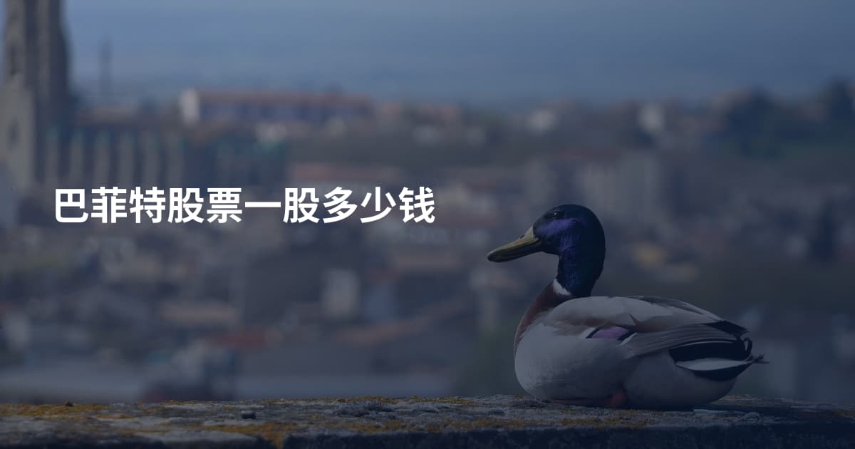 巴菲特股票一股多少钱