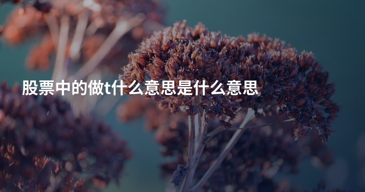 股票中的做t什么意思是什么意思