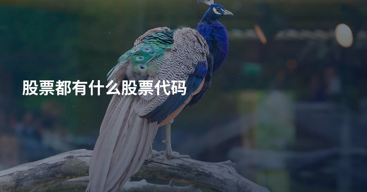 股票都有什么股票代码