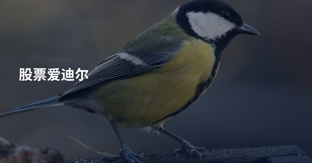 股票爱迪尔