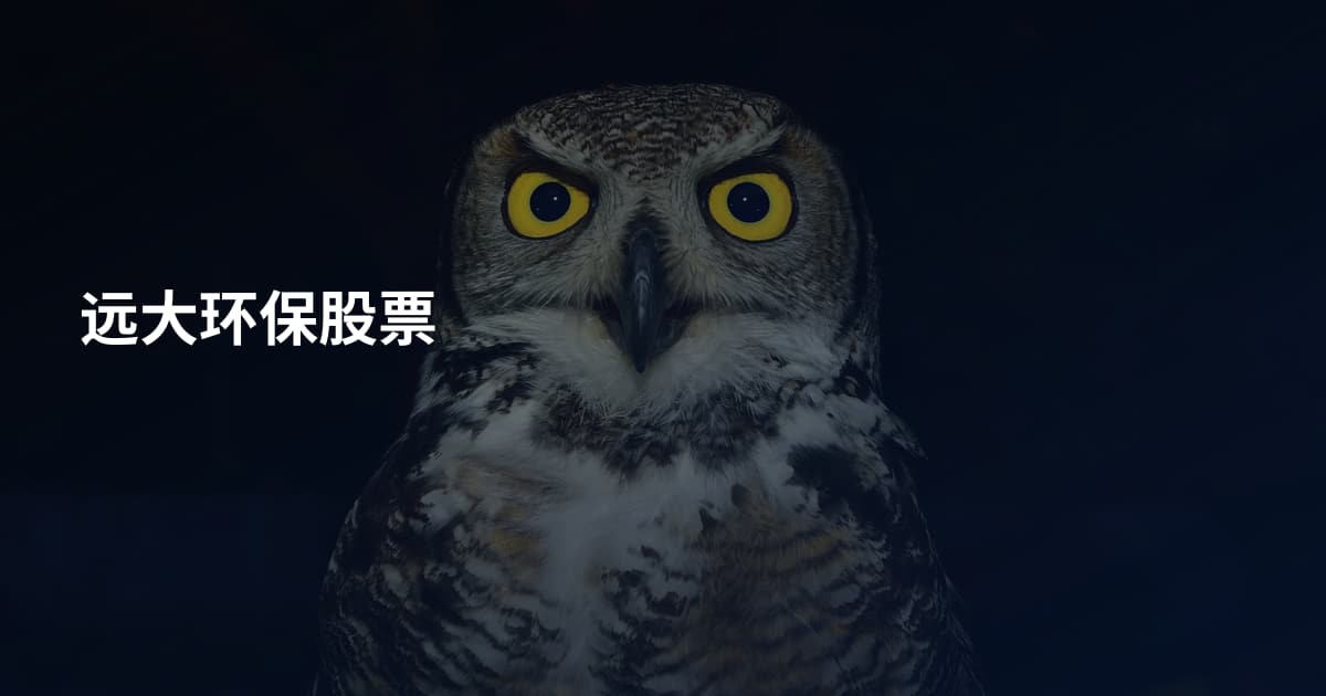 远大环保股票