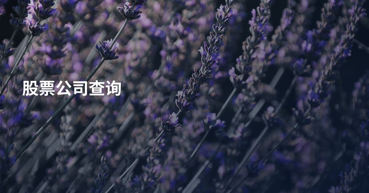 股票公司查询
