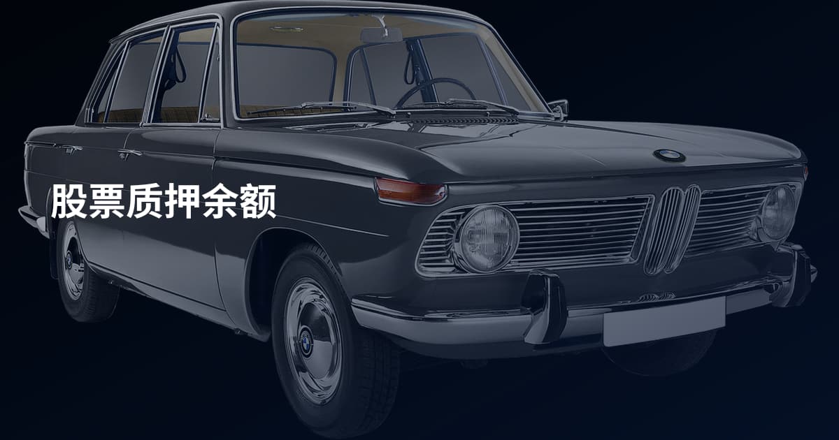 股票质押余额