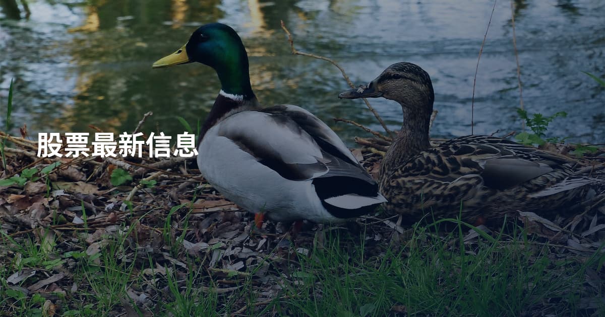 股票最新信息