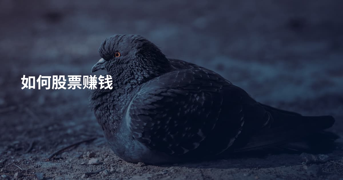 如何股票赚钱
