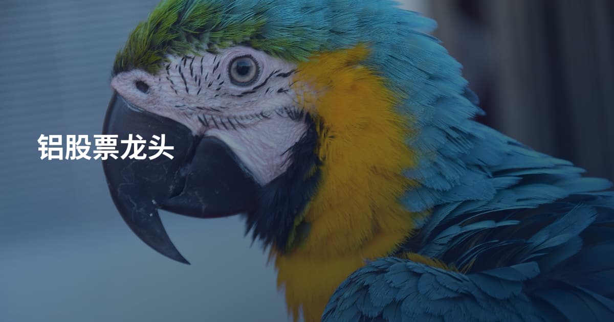 铝股票龙头