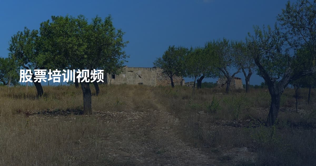 股票培训视频