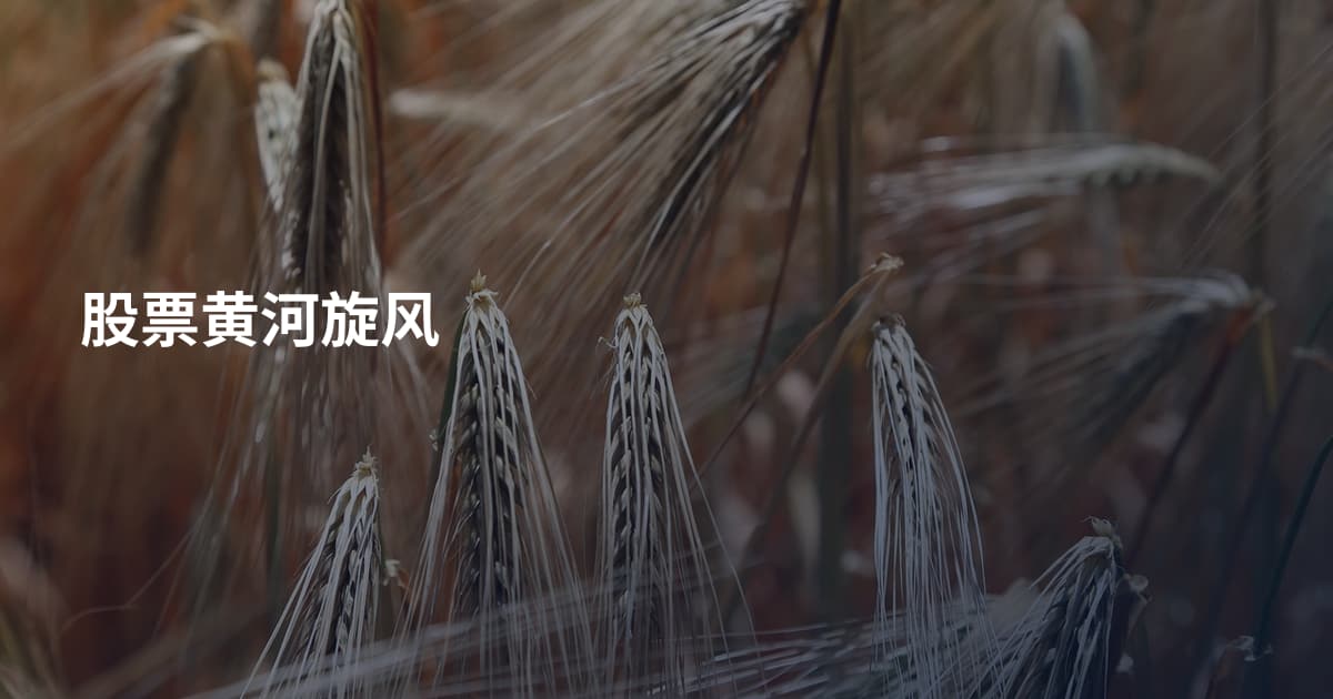 股票黄河旋风