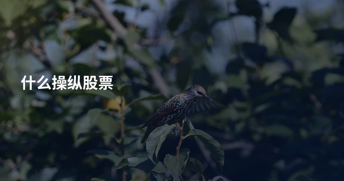 什么操纵股票